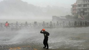 typhoon dolphin| china