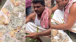 12 लाख के नोट कुतर गए चूहे… सालों से छिपाकर पैसे बचा रही थी पत्नी, बक्सा खोला तो सदमे में आई; टुकड़े गिनते दिखे पति-Video
