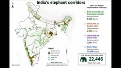 हाथियों के लिए लंबे कॉरिडोर क्यों जरूरी हैं? जानें, सुप्रीम कोर्ट ने क्यों दिया दखल । EXPLAINED
