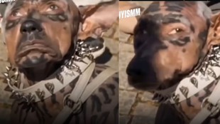 japan man becomes dog