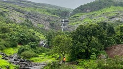 अडानी के दो प्रोजेक्ट्स के लिए महाराष्ट्र में 83,700 वर्गफुट वन भूमि को मंजूरी