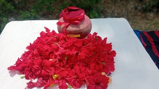 mahua dabar, mahua dabar news, mahua dabar story,