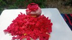 mahua dabar, mahua dabar news, mahua dabar story,