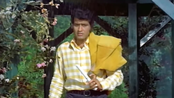 बिजी जिंदगी में उलझे रहने वाले लोगों पर परफेक्ट बैठता है सावन का 52 साल पुराना ये गाना, Gen-z बनाते हैं फनी रील्स