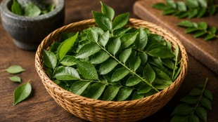 chew curry leaves on an empty stomach, health benefits of eating curry leaves,curry leaves nutrition,curry leaves for weight loss,curry leaves for hair health,curry leaves digestion benefits