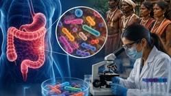 भारतीय आदिवासी समुदायों की आंत में मिले 14 नए बैक्टीरिया, रिसर्च से जानिए गट हेल्थ पर क्या होगा असर?