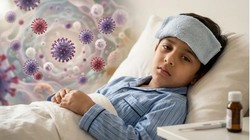 Chandipura virus: बारिश के मौसम में क्यों बढ़ता है चांदीपुरा वायरस का खतरा? जानिए लक्षण और डॉक्टर की सलाह