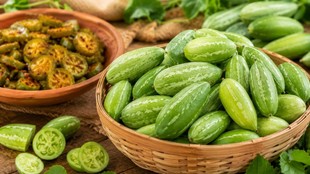 Ways to reduce diabetes, what to eat to reduce blood sugar, diet plan for diabetes, benefits of eating tondlichi bhaji, which vegetables control blood sugar, diabetes symptoms signs causes and remedies