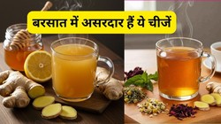 मानसून में डाइट में शामिल कर सकते हैं ये 7 हर्बल फूड्स, आयुर्वेदिक एक्सपर्ट मानते हैं इन्हें अमृत, रिसर्च से समझें फायदे