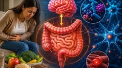 पेट साफ न होने और भारीपन से परेशान हैं? अपनाएं आयुर्वेदिक डॉक्टर के बताए ये 7 असरदार उपाय