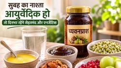 सुबह के नाश्ते में पिस्जा बर्गर और पास्ता नहीं बल्कि ये 10 हेल्दी फूड्स को करें शामिल, आयुर्वेद ने बताया इन्हें सेहत के लिए जरूरी, देखिए फूड लिस्ट