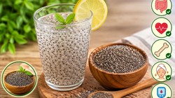 Chia Seeds for Constipation: क्या चिया सीड्स खाने से कब्ज की दिक्कत दूर होती है? जानें फायदे, खाने का सही तरीका और कितनी मात्रा है जरूरी