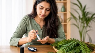 curry leaves,manage blood sugar, curry patta,increase insulin level naturally, health benefits of curry leaves,diabetes. blood sugar, रक्त शर्करा, मधुमय, डायबिटीज, हेल्थ न्यूज हिन्दी, ब्लड शुगर को कंट्रोल करने का देसी नुस्खा,