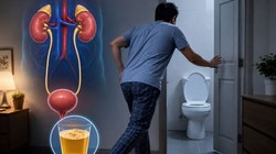 Kidney Damage Signs: किडनी खराब होने से पहले शरीर में दिखते हैं ये 10 शुरुआती संकेत, जानिए समय पर पहचान क्यों है जरूरी?