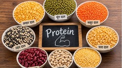 मूंग, मसूर, उड़द समेत इन 7 दालों में से किस में सबसे ज्यादा होता है प्रोटीन, जानें न्यूट्रिशनल वैल्यू