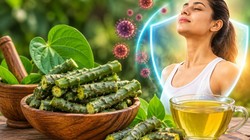 आयुर्वेद में गिलोय को क्यों कहा जाता है अमृत? आयुर्वेदिक एक्सपर्ट से जानते हैं