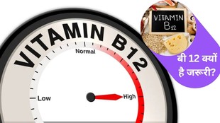 Vitamin B12, What should be the level of Vitamin B12 in body, Vitamin B12 Deficiency, Vitamin B12 Deficiency Symptoms, Vitamin B12 Deficiency Causes, Tips To Prevent Vitamin B12 Deficiency, How To Cure Vitamin B12 Deficiency,