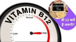 Vitamin B12 Deficiency: उम्र के हिसाब से कितना होना चाहिए Vitamin B12? डॉक्टर से समझें सही लेवल, कमी के लक्षण और बचाव
