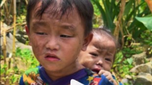 nepal flood video boy carries crying sister grave of the fireflies fact check