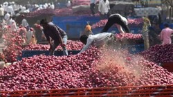 नासिक से दिल्ली पहुंचेगी पहली ‘कांदा एक्सप्रेस’, प्याज की कीमतों पर लगाम कसने की तैयारी