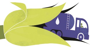 Fuel-Food security- Sugar