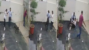 pitbull attack on couple visiting house in Patiala dog bite 3 minute cctv video