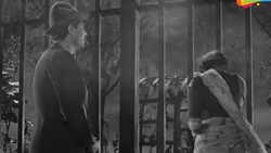 4 मिनट 44 सेकेंड का 50’s का ये गाना आज भी बताता है प्यार का इजहार करने का सबसे खूबसूरत तरीका