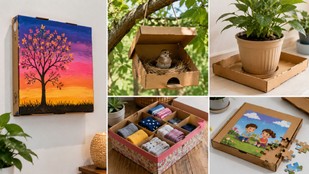 reuse of diy pizza box uses | how to use pizza box | pizza box ko dobara kaise istemal karen