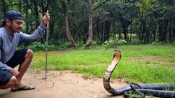 टॉयलेट में कॉमन क्रेट और 10 फीट लंबे कोबरा जैसे 10,000 सांपों को पकड़ने वाले शख्स की कहानी, क्यों चुना ये प्रोफेशन?