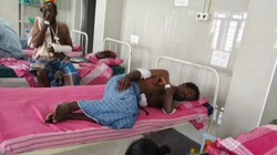 जंगली सूअर के हमले में चार किसान गंभीर रूप से घायल, फसलों का नुकसान भी बना परेशानी