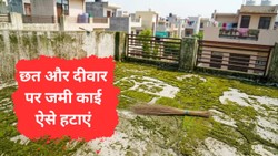 सिर्फ झाड़ू से नहीं हटेगी छत की काई, इन तरीकों से करें सफाई; फर्श-दीवार फिर से दिखेगी साफ