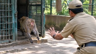 Delhi Zoo, Delhi news, delhi news in hindi
