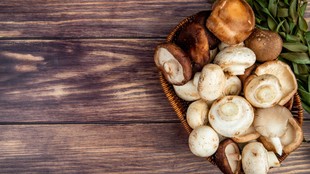 How to store mushrooms
