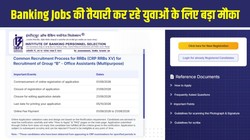 IBPS RRB Recruitment 2026: 13,706 पदों के लिए आवेदन शुरू, जानें योग्यता, आयु सीमा, फीस, परीक्षा की तारीखें, चयन प्रक्रिया और अप्लाई करने का Direct Link