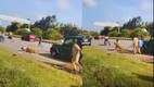 Leopard Attack Video, leopard attack, Davangere leopard rescue