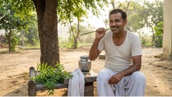 नीम की दातुन करने का सही तरीका क्या है? जानें कैसी टहनी चुनें, कुल्ला कब करें और किन गलतियों से बचें