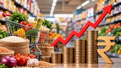 Retail Inflation: अगस्त में महंगाई ने बढ़ाई चिंता, खुदरा मुद्रास्फीति 4.82% पर पहुंची