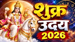 28 अक्टूबर को धन के दाता शुक्र होंगे उदय; तुला, मेष, सिंह और मिथुन राशि वालों को करियर में तरक्की के साथ धनलाभ के योग
