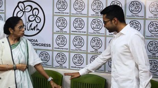 TMC Symbol, TMC Election Symbol, Trinamool Congress Symbol, TMC Flowers and Grass