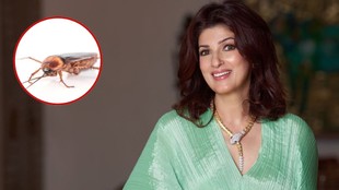 Twinkle Khanna Cockroaches Pest Spray