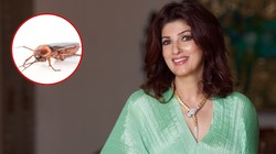 ट्विंकल खन्ना का देसी जुगाड़, कॉकरोच और चींटियों को भगाने के लिए घर पर बनाएं ये स्प्रे