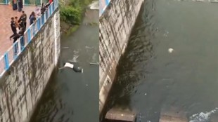 UP News, Jhansi News, Viral Video, Reel Stunt Gone Wrong,