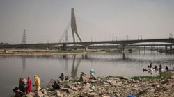पालक में 97 गुना निकेल, सरसों में क्रोमियम… दिल्ली में हरी सब्जियां खाने वाले हो जाएं सावधान, DU की रिसर्च में खुलासा
