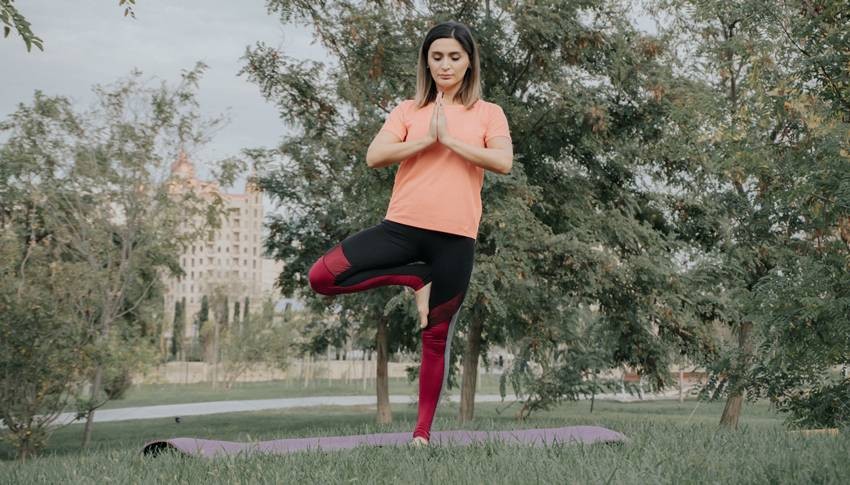 tree pose for beginners