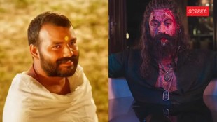 Box Office Collection