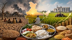 खेतों में अनाज भरपूर, फिर भी थाली में पोषण की कमी; भारत के सामने खाद्य सुरक्षा की नई चुनौती