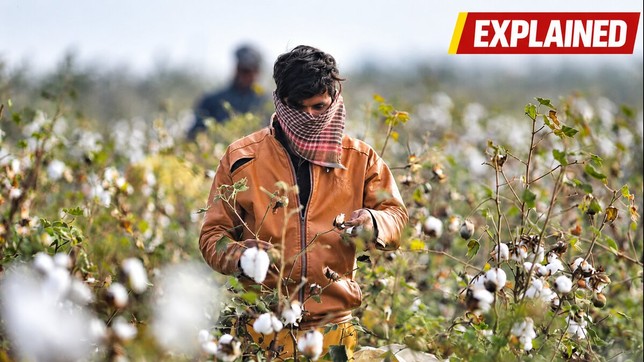 Gujrat- Agriculture- Land