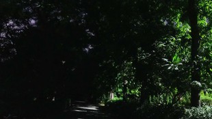 Delhi public parks safety, Hauz Khas District Park, Maidangarhi Forest Park