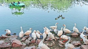 delhi | sanjay lake | youth died |