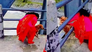 Nepal dog abuse, Seti River, Bajhang district, viral video